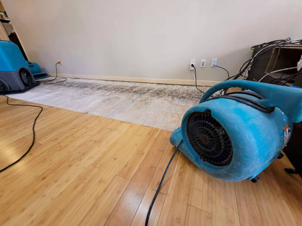 Professional Ceiling Water Damage Repair technician working in Northampton, MA